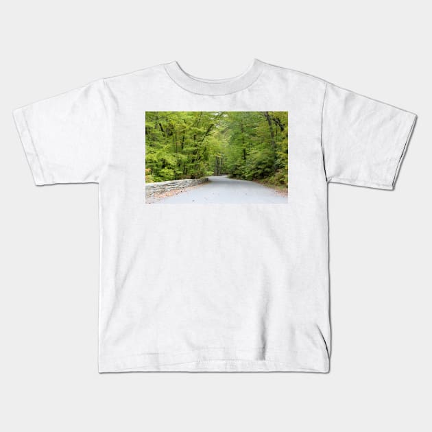 Winding Road Kids T-Shirt by Cynthia48